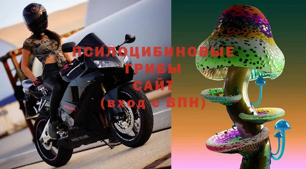 ALPHA PVP Белокуриха