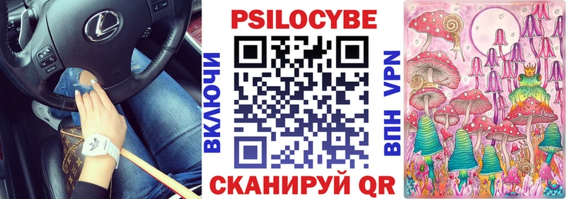 darknet какой сайт Гаврилов-Ям Псилоцибиновые грибы Magic Shrooms